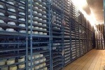 Cheese Tasting Tour from Cagliari