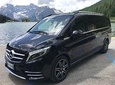 Arrival Private Transfer Venice Airport VCE to Piazzale Roma by Luxury Van