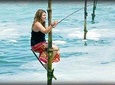 Galle Day Trip With Stilt fishing Experience From Colombo