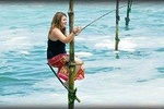 Galle Day Trip With Stilt fishing Experience From Colombo