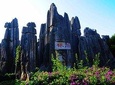 Private Day Tour to Stone Forest and Bamboo Temple from Kunming