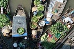 1-day Mekong Delta Tour: Floating Market, Cooking Class and Cycling