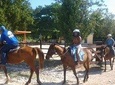 Horseback Ride Ziplining and Dunn's River Falls Adventure from Montego Bay,
