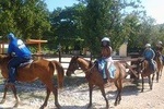 Horseback Ride Ziplining and Dunn's River Falls Adventure from Montego Bay,