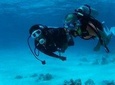 Day Scuba diving trip from Hurghada