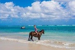 Horseback Riding from Runaway Bay