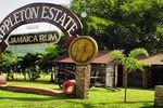 Private Appleton Estate Rum Tour & Tasting from Runaway Bay