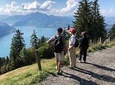 Mt. Rigi Private Hike