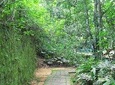 Rio de Janeiro: Jeep Tour to Tijuca Forest