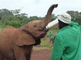 Private 6 Day Masai Mara, Hell's Gate, Lake Naivasha & Day Tour