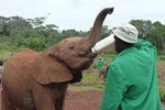 Private 6 Day Masai Mara, Hell's Gate, Lake Naivasha & Day Tour