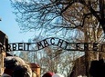 1 Day Auschwitz Birkenau Museum Guided Tour from Krakow