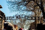 1 Day Auschwitz Birkenau Museum Guided Tour from Krakow