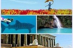 3 Days and 2 Nights in Private Cebu Tour Package