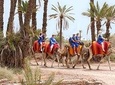 Camel Caravane 