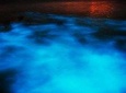Luminous Lagoon Tour from Grand Palladium