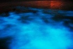 Luminous Lagoon Tour from Grand Palladium