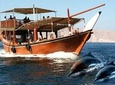 Khasab Musandam Dhow Cruise To Musandam Fjords