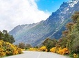 Circuito Chico Excursion in Bariloche (Short Circuit)