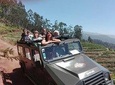 Poncha, Mountains and Vineyards Half-Day 4x4 Small-Group safari Cabo Girão