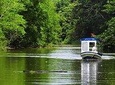 Shore Excursion: Caribbean Highlights Tour from Limon