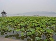 Amazing Landmarks Hangzhou Day Tour