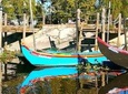Ribatejo Private All Included fees and Lunch Day Tour With Birdwatching in EVOA