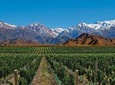 4-day Tour Mendoza Andes & Wine