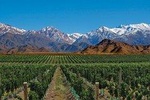4-day Tour Mendoza Andes & Wine