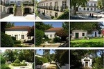 Private Tour from Lisbon to Historical Houses w/ Lunch & Wine Tour and tasting