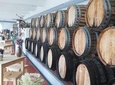 Wine Tasting and food Experiences region of Lisbon - Setúbal