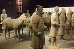 Chengdu to Xian Terracotta Warriors By Fast trian