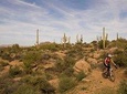 Half-Day Scottsdale Mountain Bike Tour