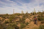 Half-Day Scottsdale Mountain Bike Tour