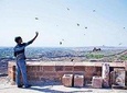 Kite Feeding Experience at Mehrangarh Fort, Jodhpur