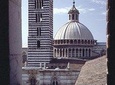From Rome to San Gimignano and Siena