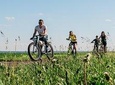 Rent Hybrid Bikes on Ile d'Orleans