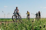 Rent Hybrid Bikes on Ile d'Orleans