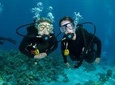 Local Guided Dives (for certified/licensed divers)