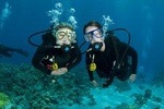 Local Guided Dives (for certified/licensed divers)