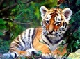 Private Taj Mahal Tour with Ranthambore Tiger Safari 