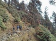 Nature Trek From Dharamshala