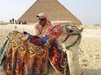 Giza Pyramids, Memphis and Sakkara Tour