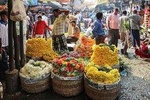 A Private Morning Walk Through Kolkata's Markets