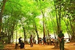 Cu Chi Tunnels & Saigon City Tour from Phu My Port