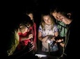 Manuel Antonio Jungle Night Research Experience