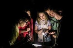 Manuel Antonio Jungle Night Research Experience
