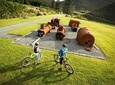 Remutaka Rail Trail Explorer - Cruise Ship Cycle Excursion