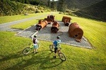 Remutaka Rail Trail Explorer - Cruise Ship Cycle Excursion