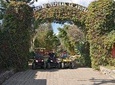 Antigua ATV Coffee Tour 